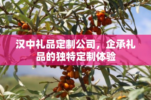 汉中礼品定制公司，企承礼品的独特定制体验