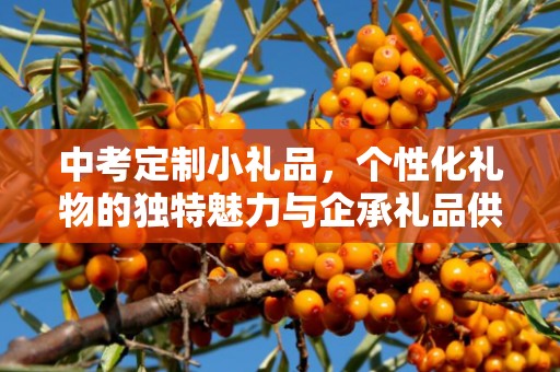 中考定制小礼品，个性化礼物的独特魅力与企承礼品供应链的专业服务